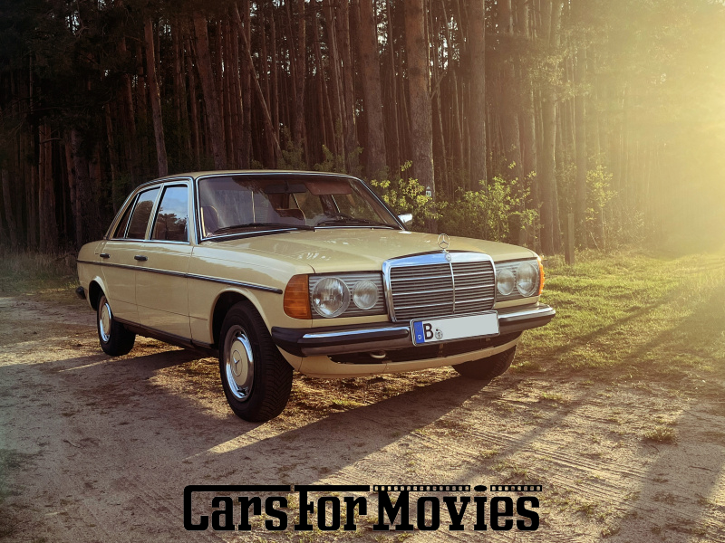 Mercedes Benz W123 250 1980 Deutschland Gelb Braun Zivilfahrzeug Limousine Brandenburg 7565